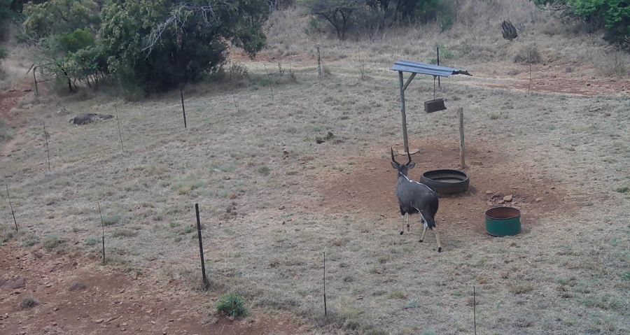 5 Bedroom Property for Sale in Swartruggens North West